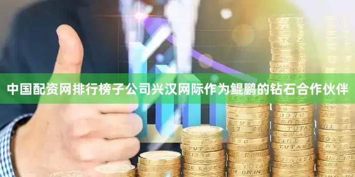 中国配资网排行榜子公司兴汉网际作为鲲鹏的钻石合作伙伴